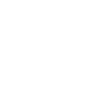 logo-mnowhite1